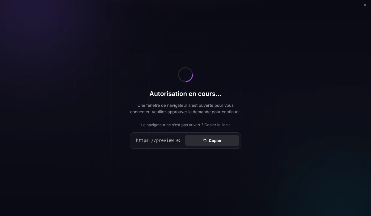 Le launcher attend la connexion dans le navigateur et affiche un lien copiable